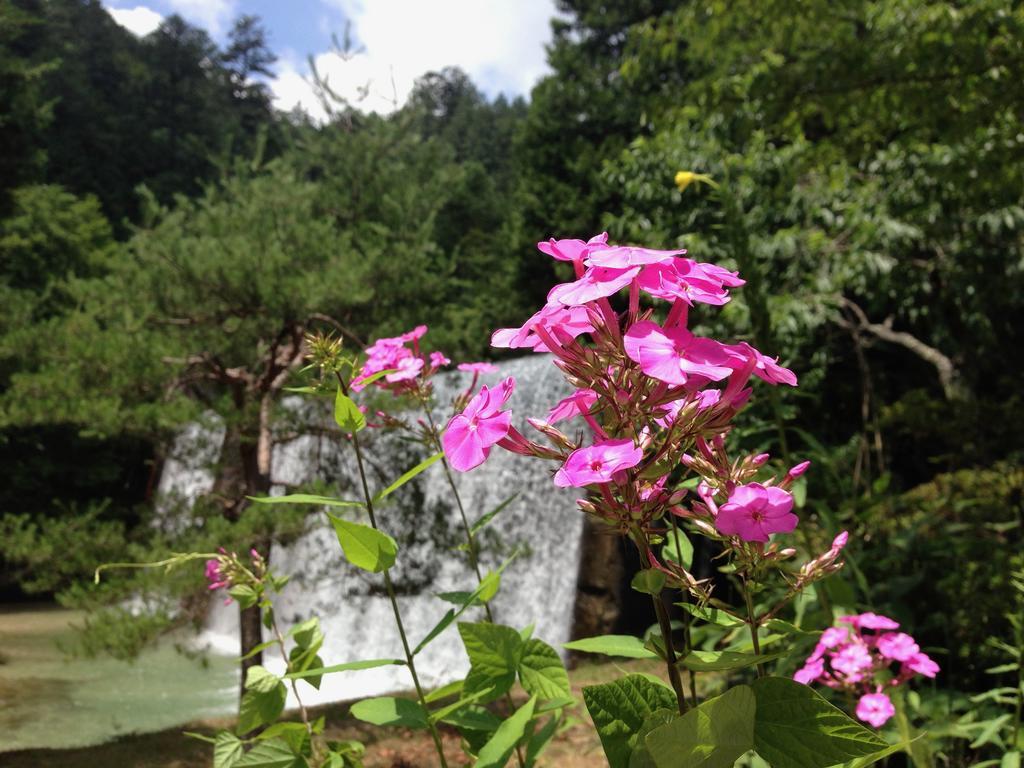 Takimi Onsen Inn That Only Accepts One Group Per Day Нагисо Екстериор снимка